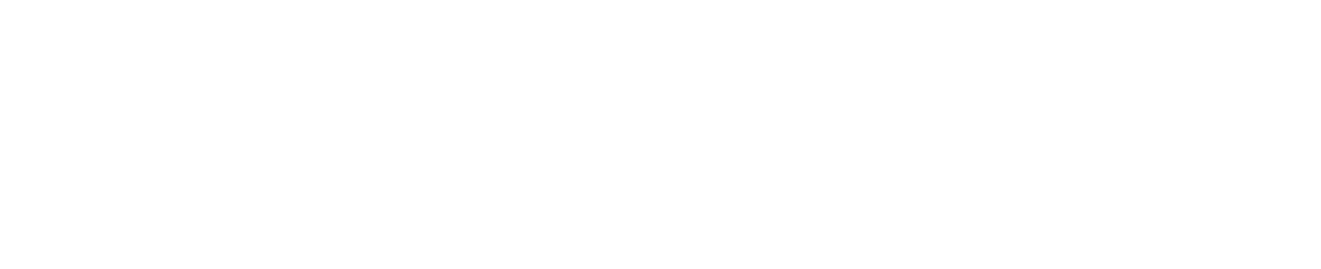 logo blanco.png