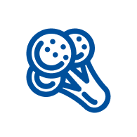 iconos-lp (1).png