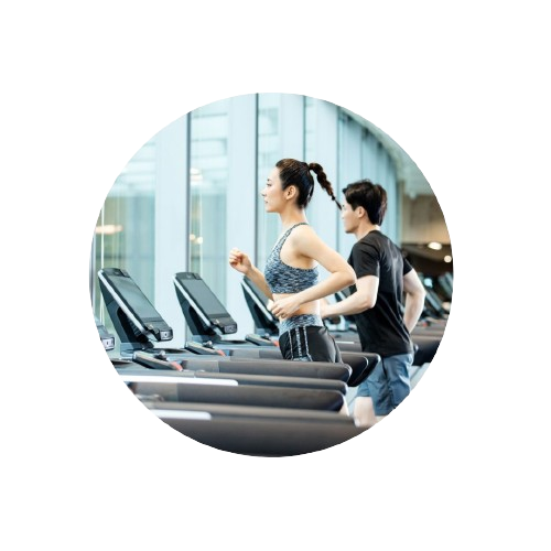 Gimnasio 2.png