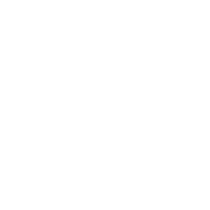 web academias pamer-11.png