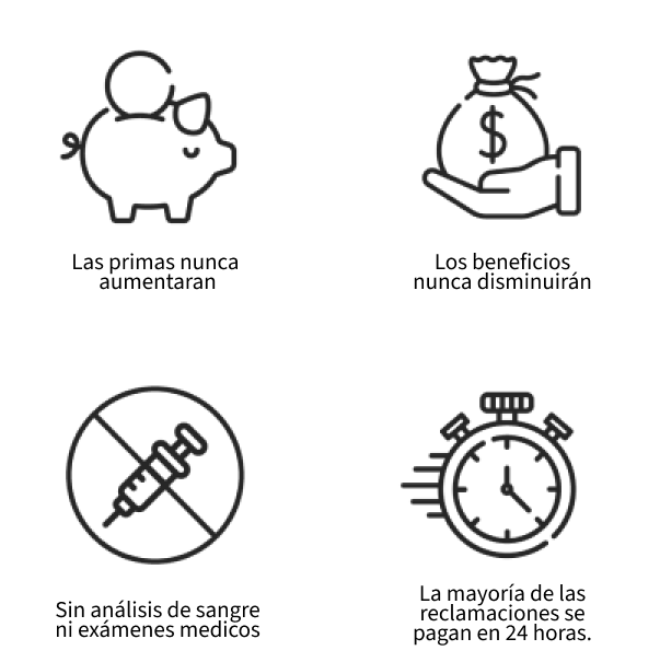lp-fondo4.png