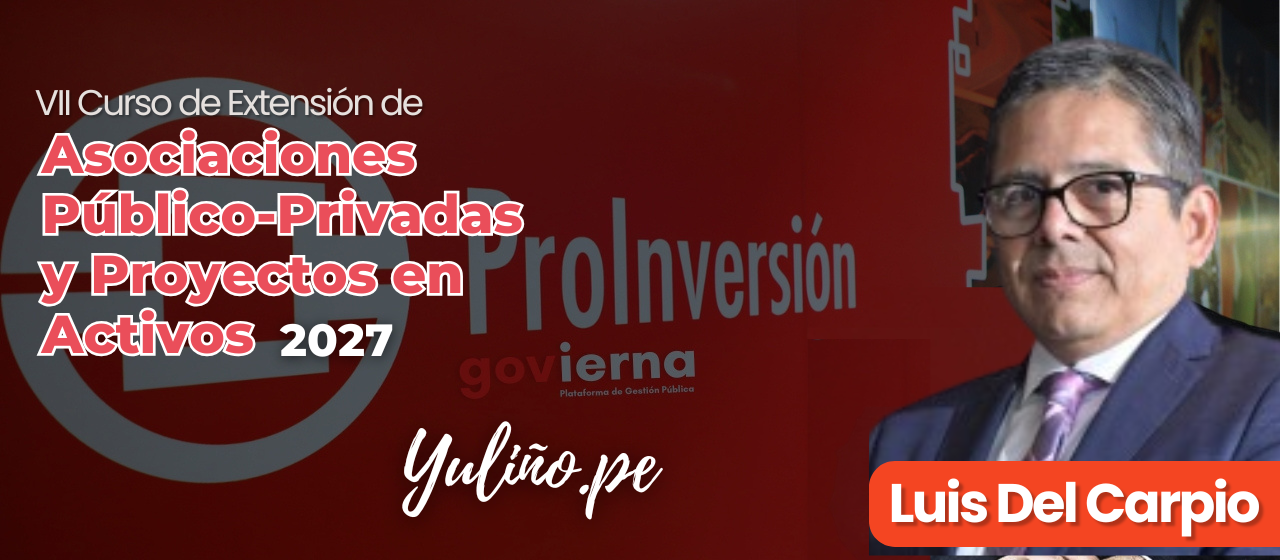 Luis del Carpio PROINVERSIÓN.png