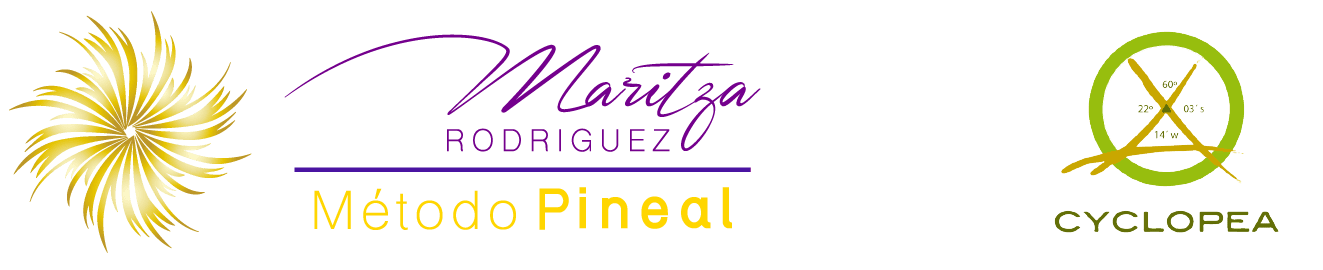 Logo Metodo largo.png