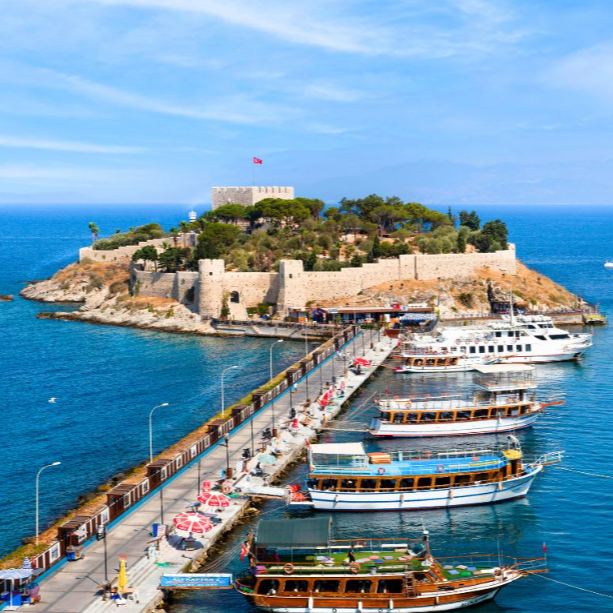 Captura de pantalla 2025-02-04 203658.png