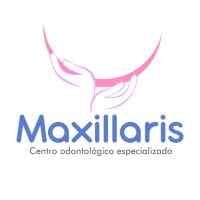 Maxillaris.jpg