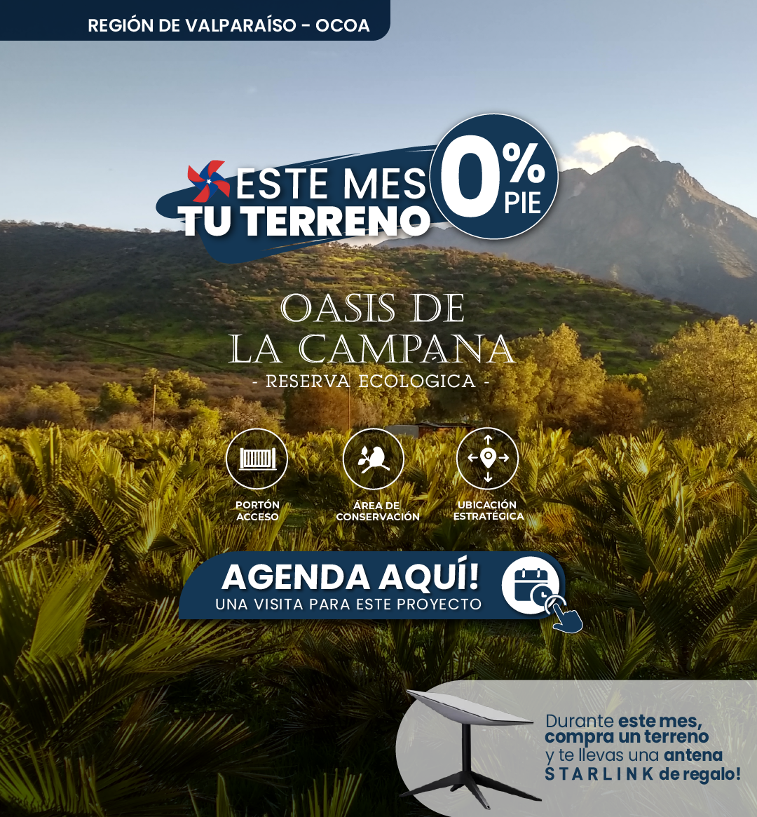 GRAFICA LANDING ESCALA_Mesa de trabajo 1 copia 3.png