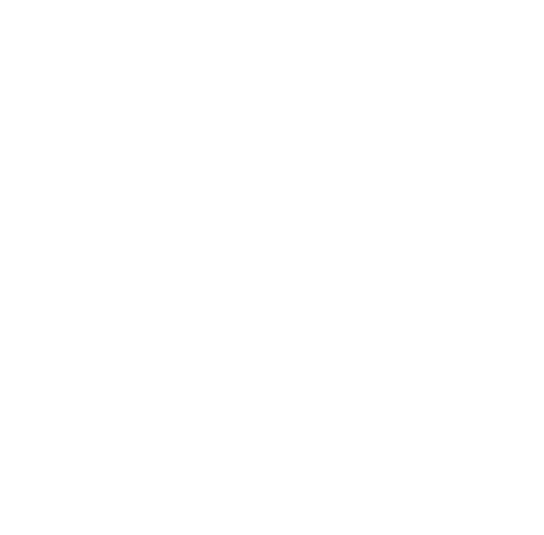 ICONOS SAS White-07.png