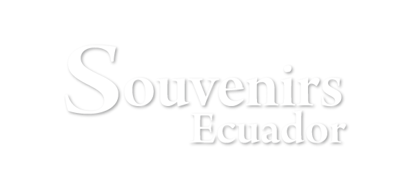 logo-souv-blanco (1).png