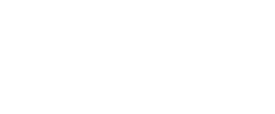 TORAMLOGO-FNegro.png