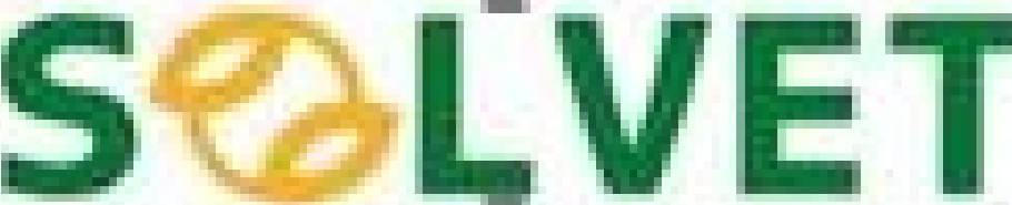 EMPRESA SOLVET.PNG