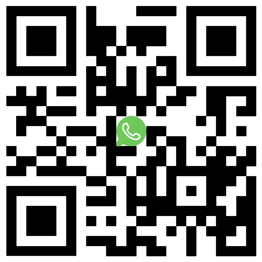 Screen Shot 2024-12-23 at 10.49.33 AM.png