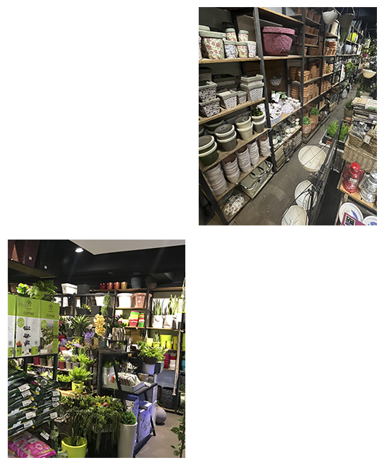 Tienda.png
