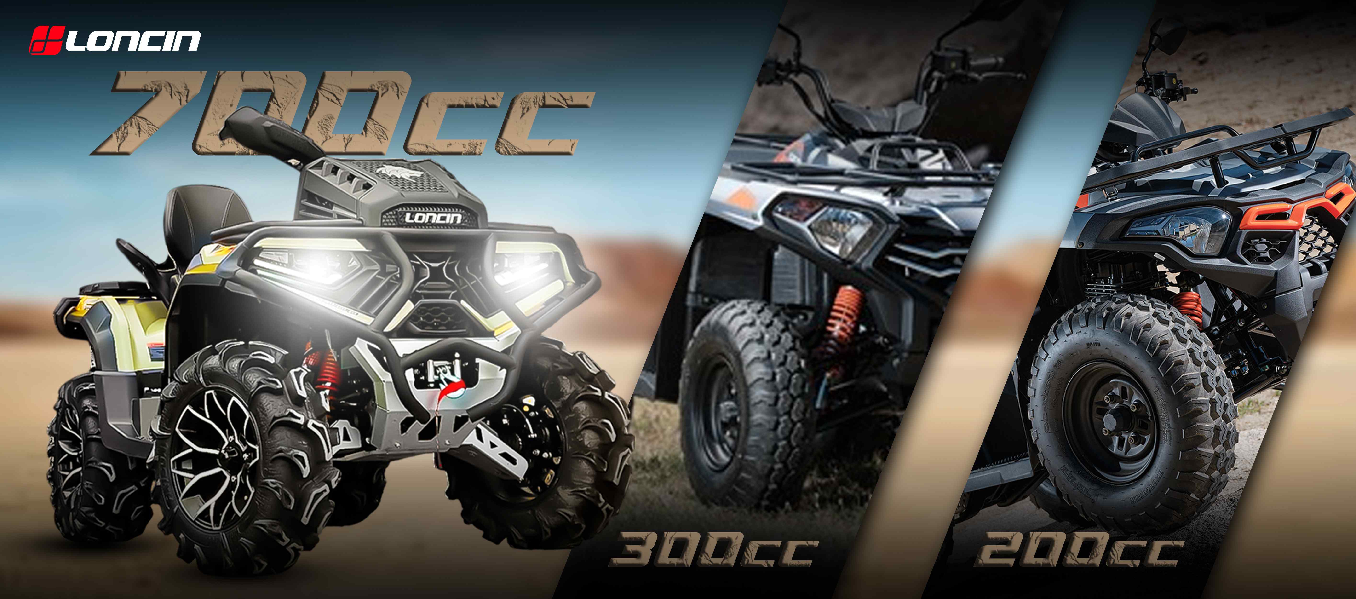 SEGMENTO CUADRONES LV.jpg