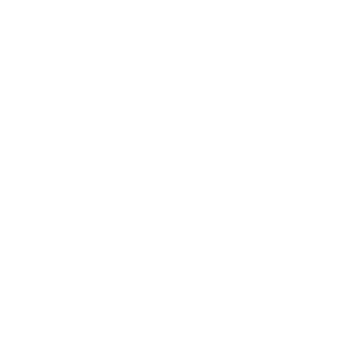 fiesta-blanco.png