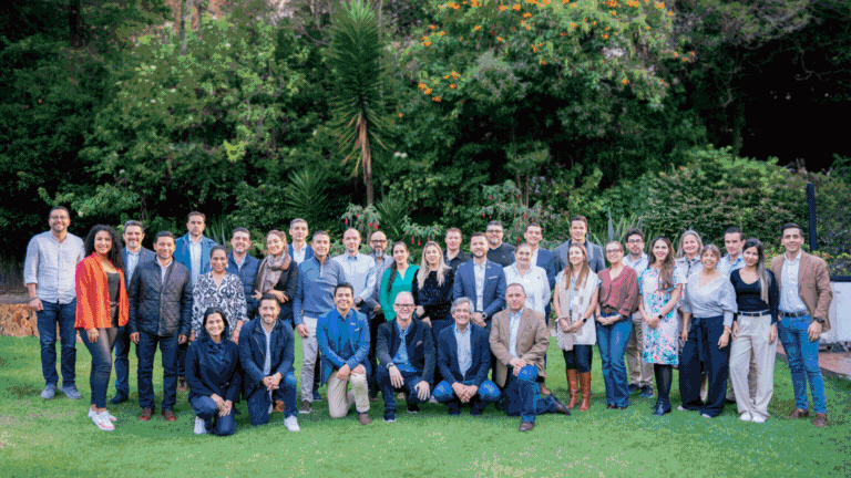 GALERIA 1 SPRINGBOARD.gif