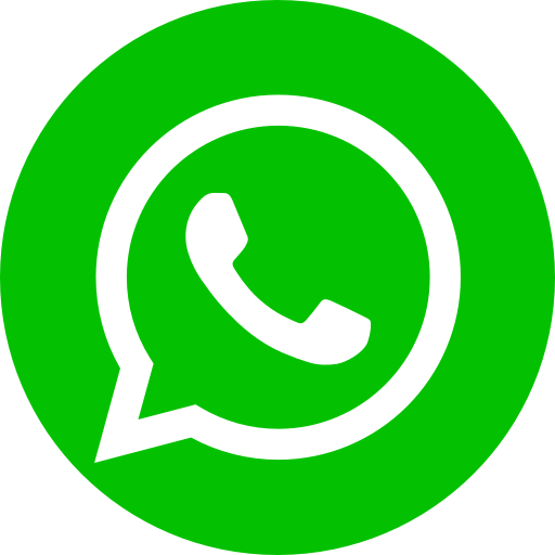 icone-du-logo-whatsapp-vert.png