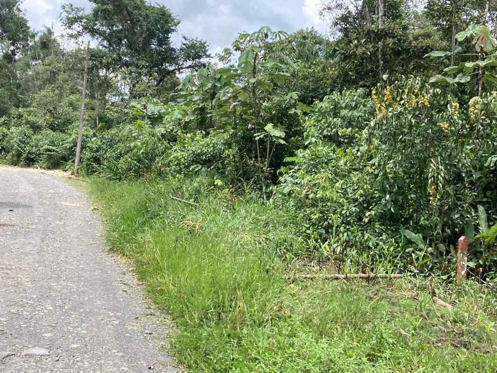 WhatsApp Image 2025-07-04 at 9.45.20 AM (1).jpeg