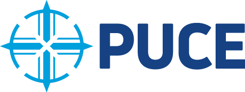 logo-puce-nuevo (1).png