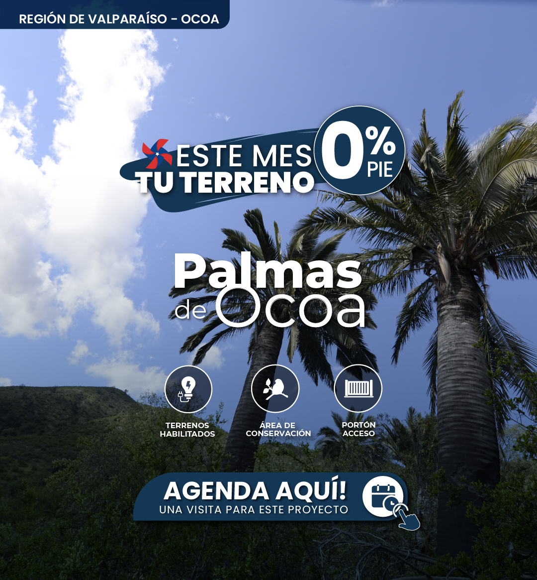 GRAFICA LANDING ESCALA-07.png