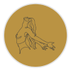 icono 5 sección 6.png