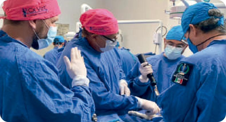 Imagen 3 Cirugia Veterinaria.png