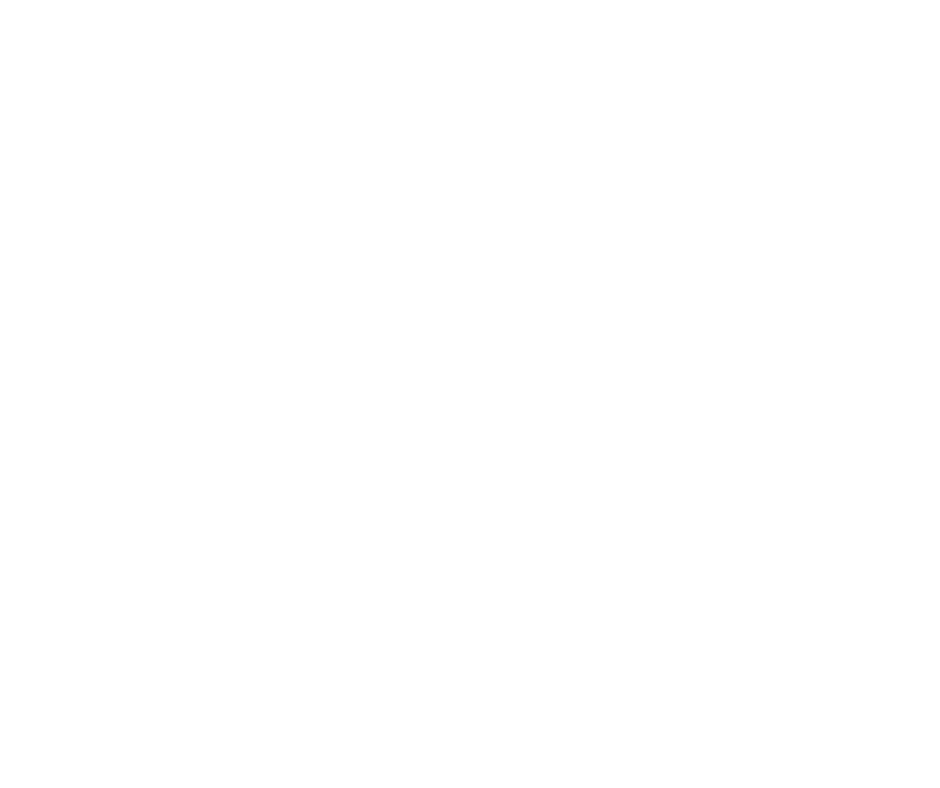 ICO1.png