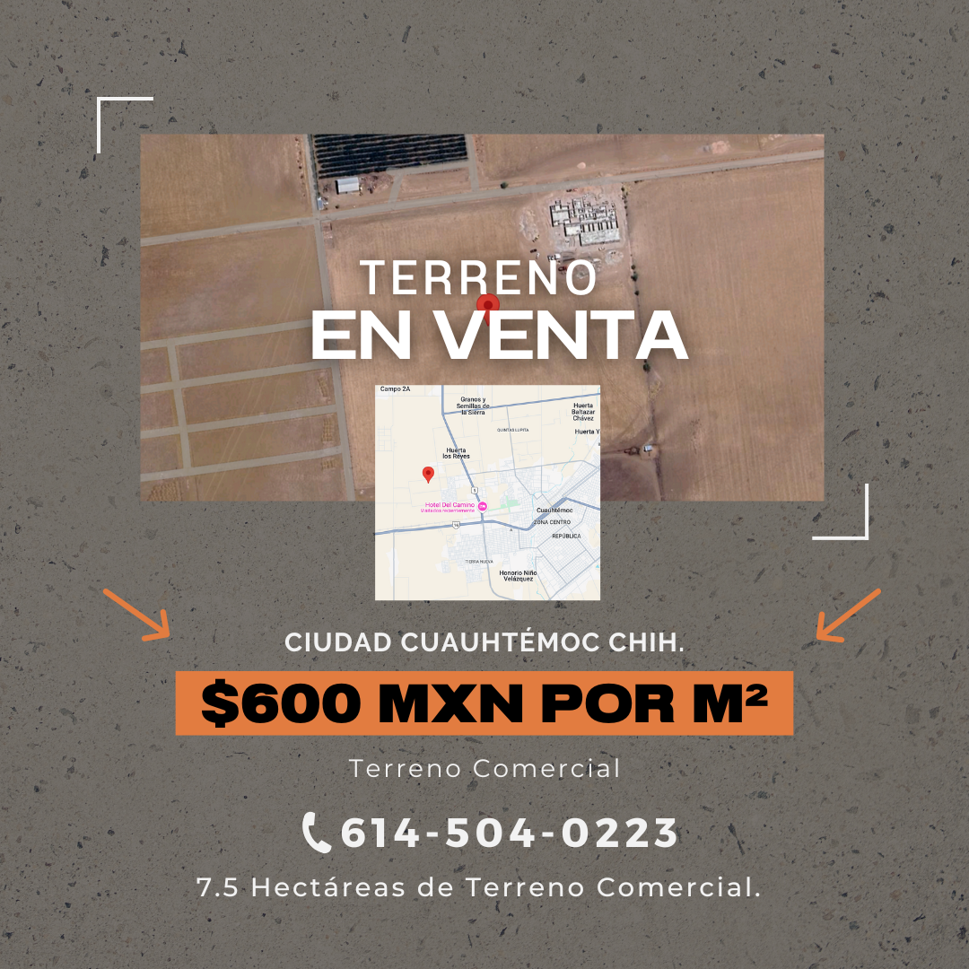 Terreno - Rigo González.png