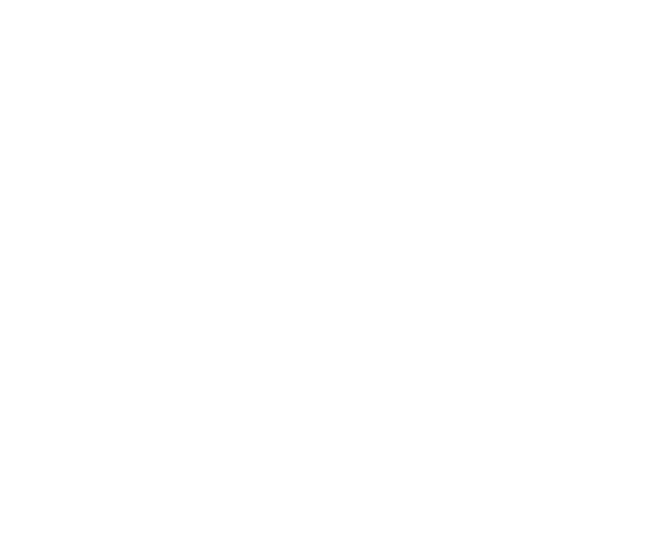 F&N_R_LOGO_BLANCO.png