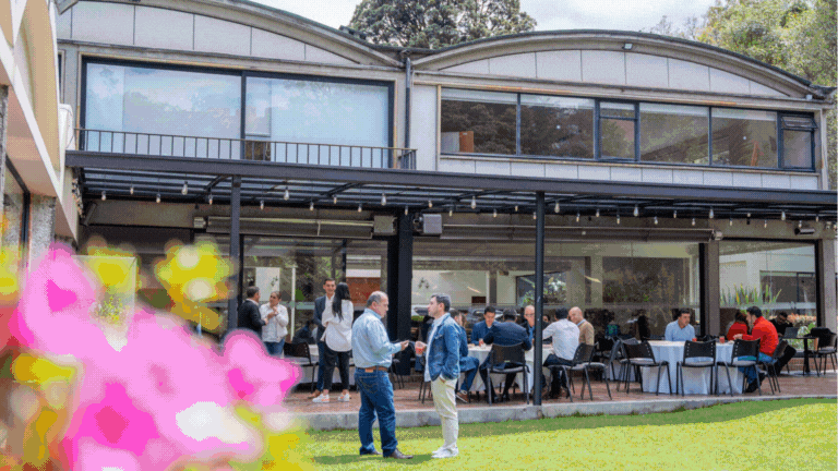 GALERIA 2 SPRINGBOARD.gif