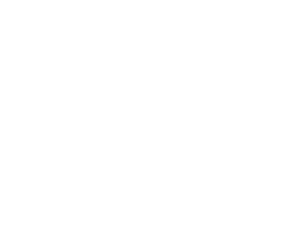 ICO2.png