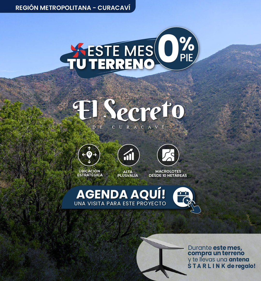 GRAFICA LANDING ESCALA_Mesa de trabajo 1.png