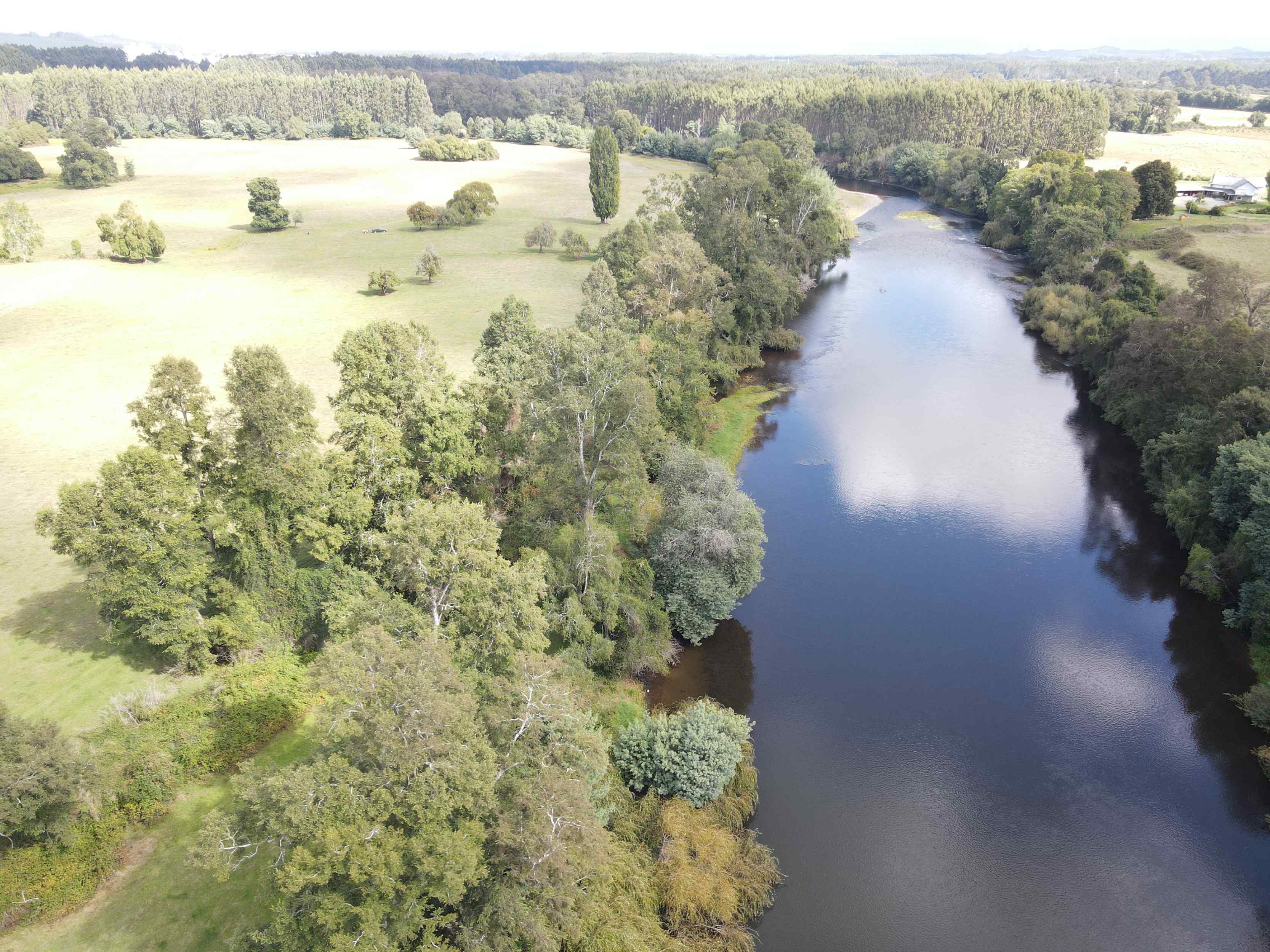 dji_export_1648229778572.jpg