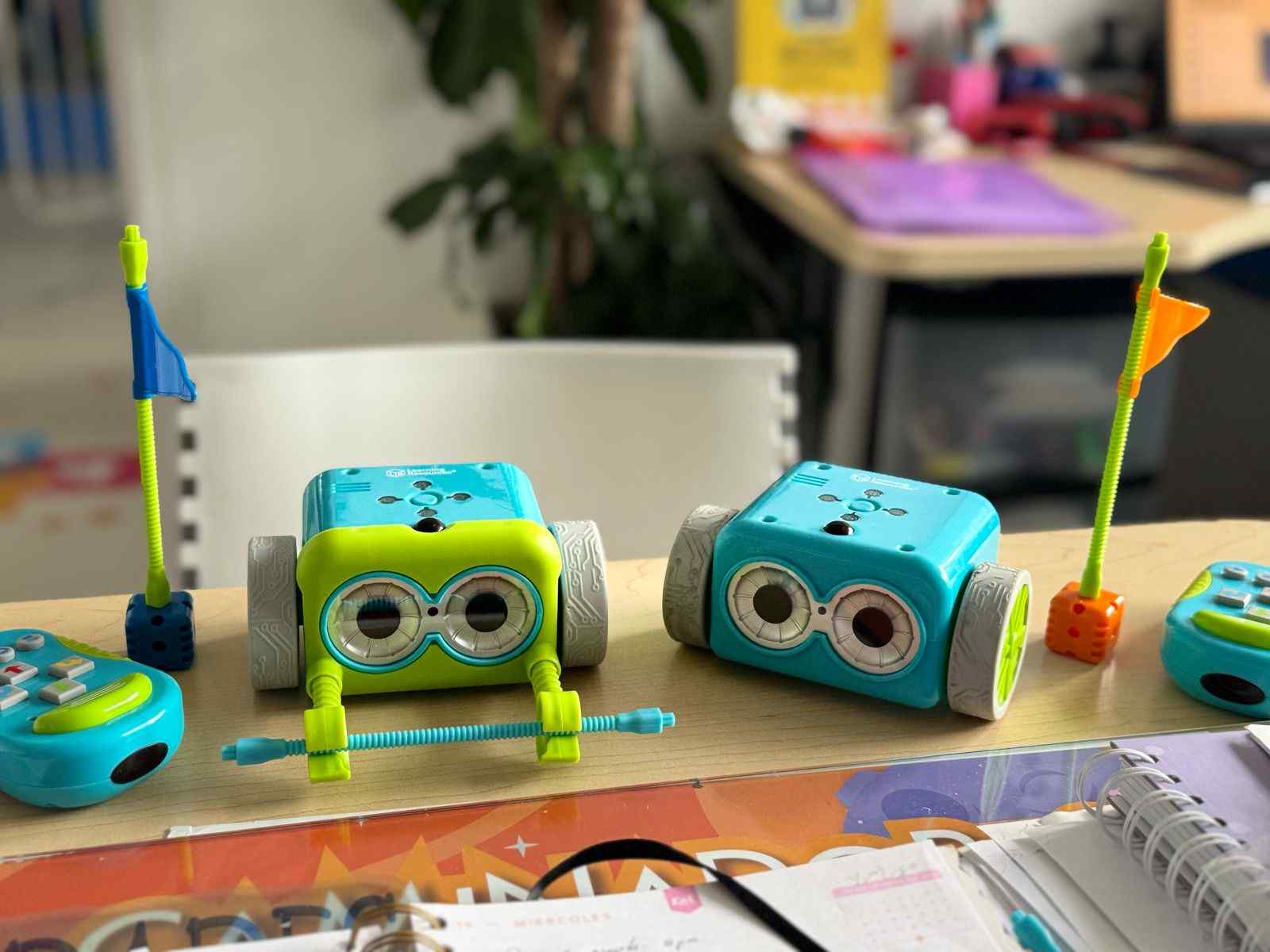 WhatsApp Image 2025-03-31 at 12.42.04 PM.jpeg