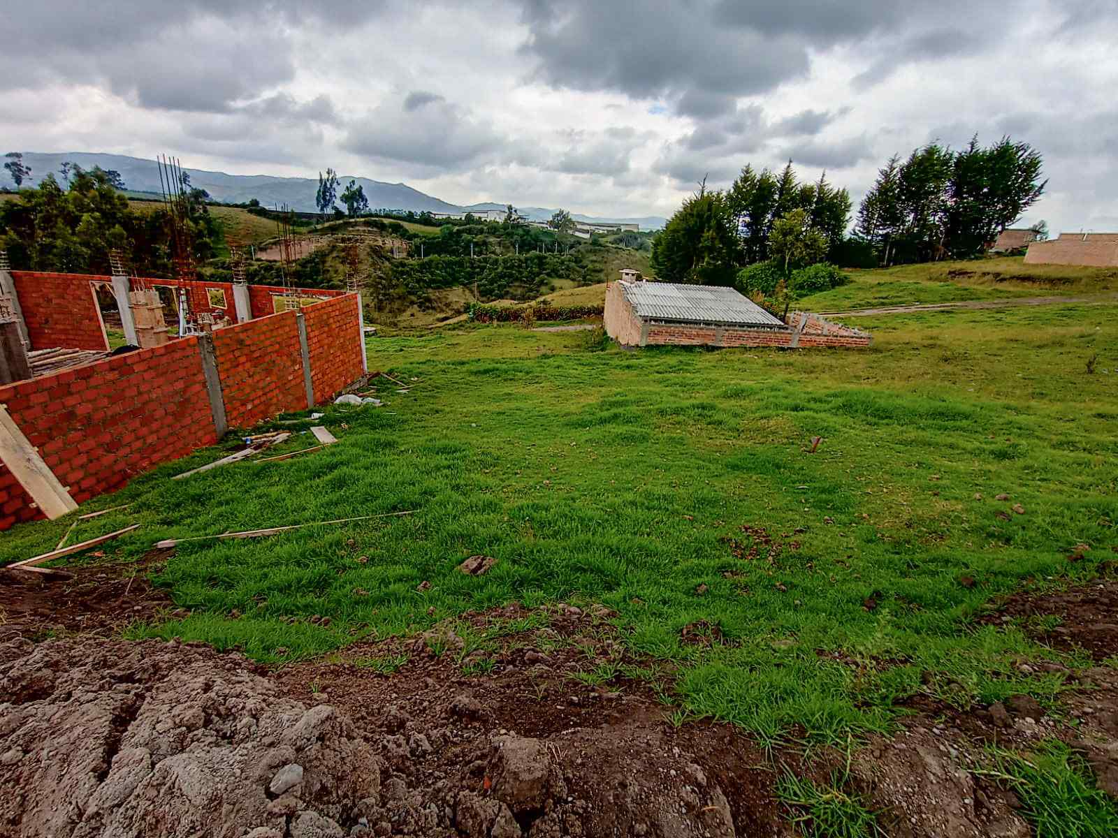 WhatsApp Image 2026-01-02 at 10 (1).jpg