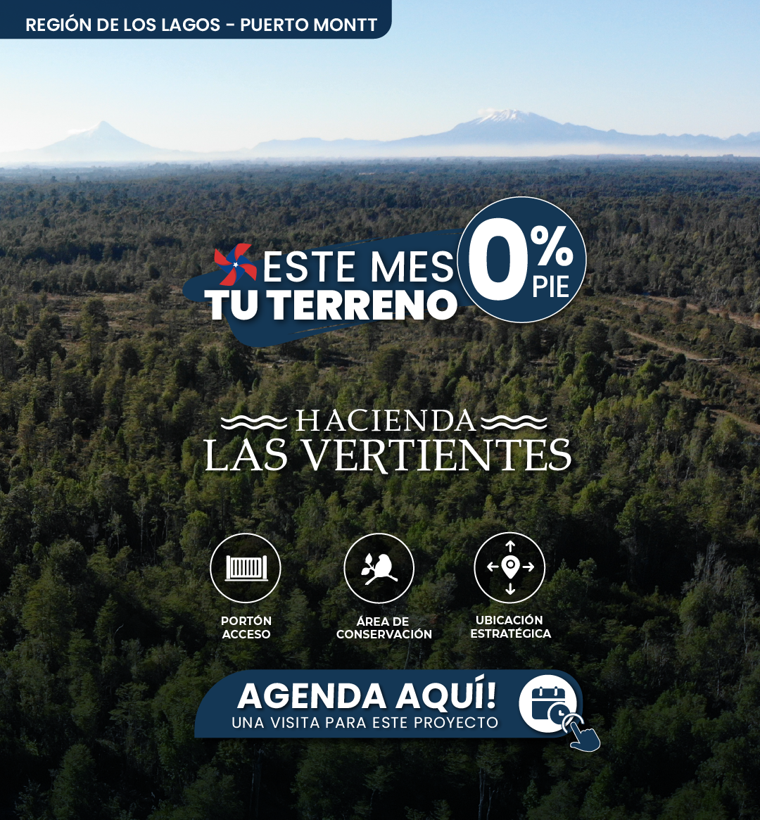 GRAFICA LANDING ESCALA-05.png