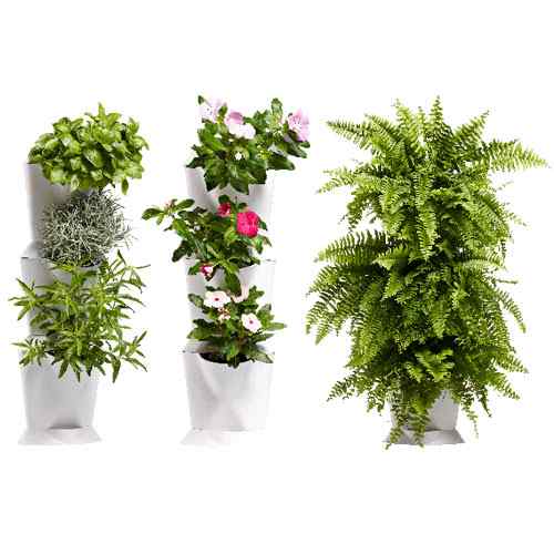 Minigarden_corner_pic3.jpg