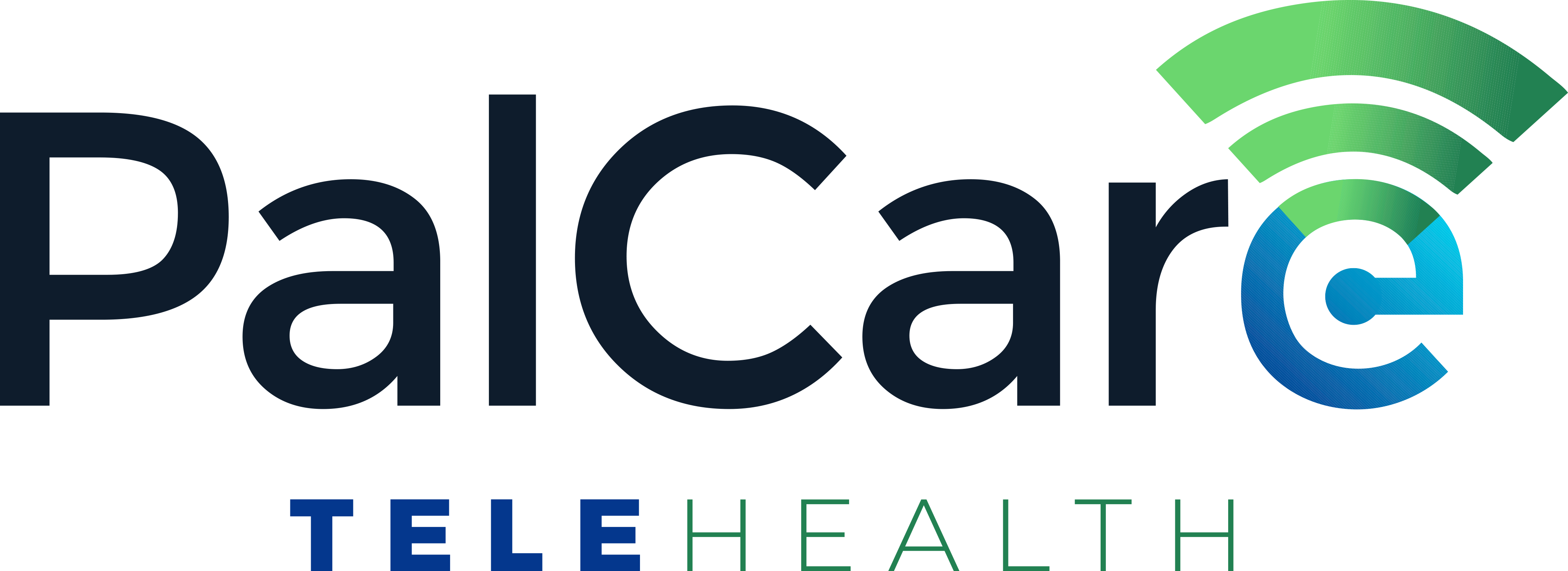 PalCare TeleHealth Logo color.png