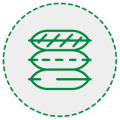 icono 3 sección 8.png