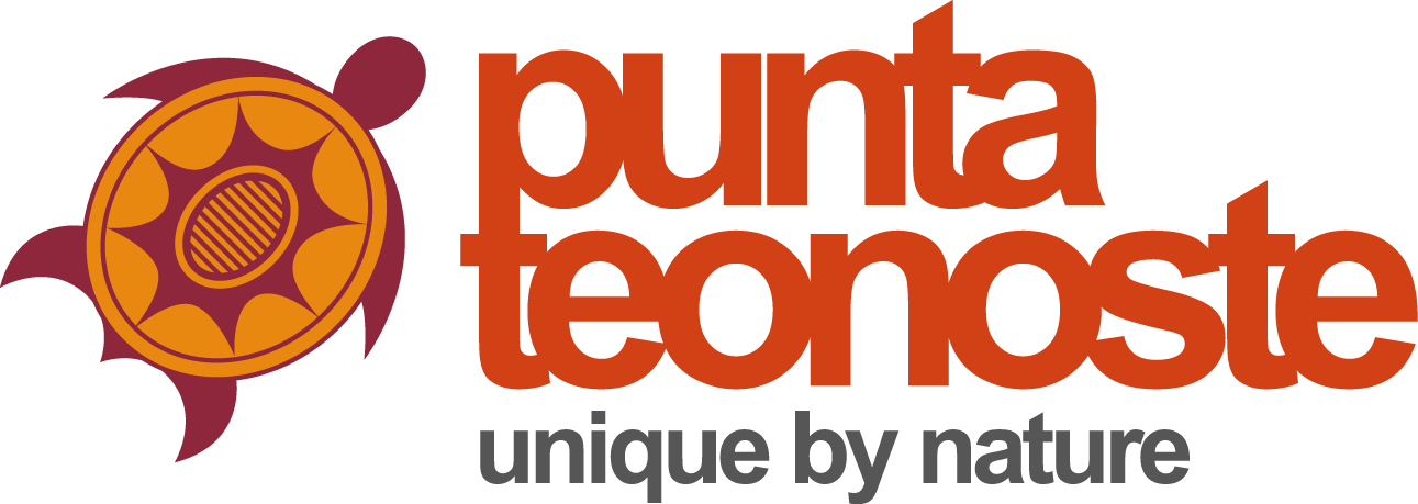 Logo Punta Teonoste Unique.png