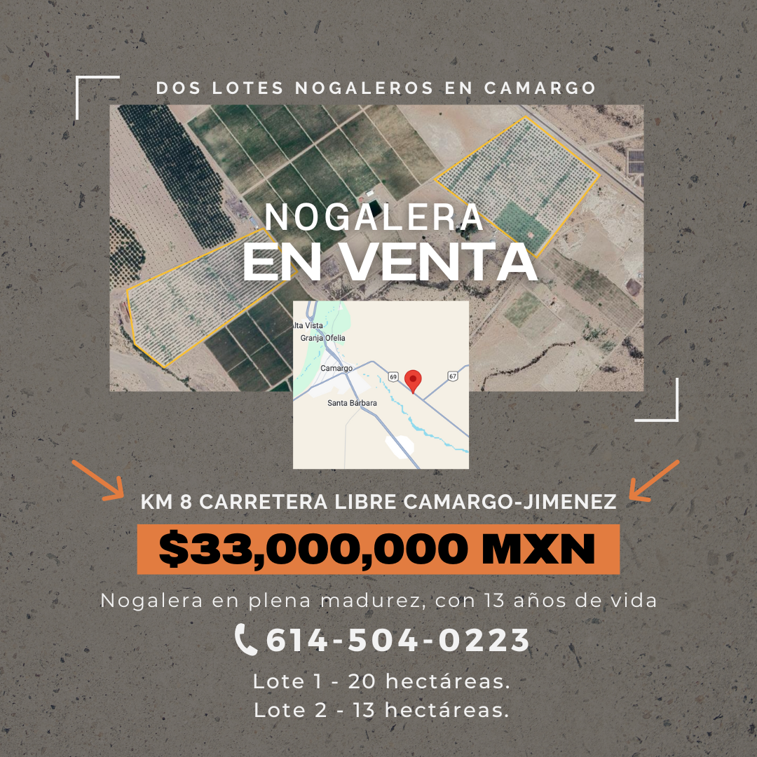 Nogalera Carretera Camargo 1.png