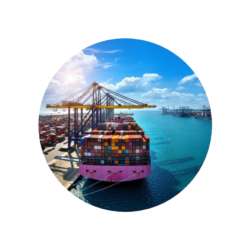 Importacion_y_Exportacion-removebg-preview.png