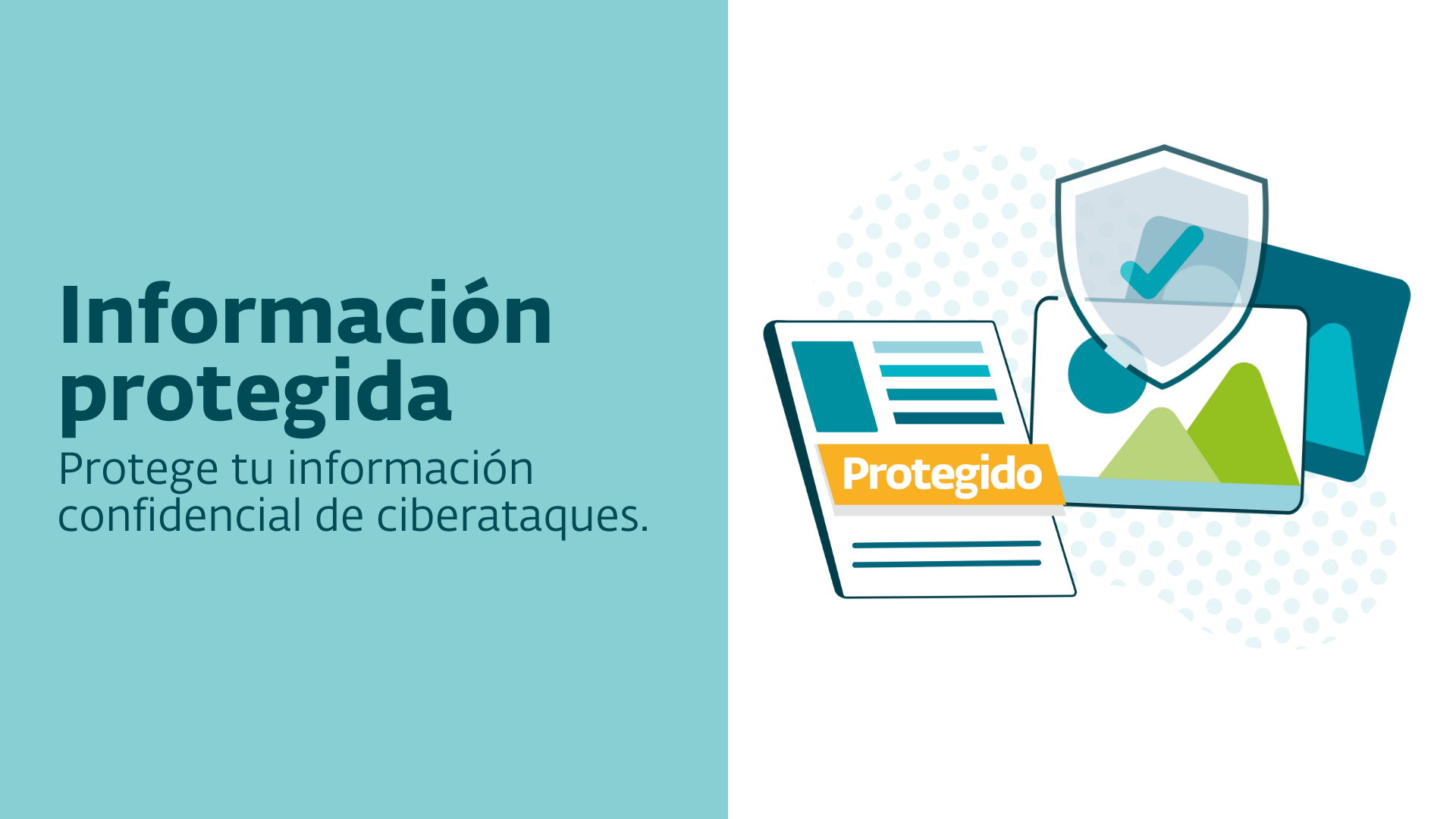info protegida.png