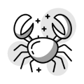 icono 2 sección 6.png