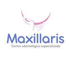 maxillaris.png