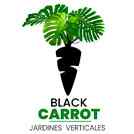 Black_Carrot.jpg