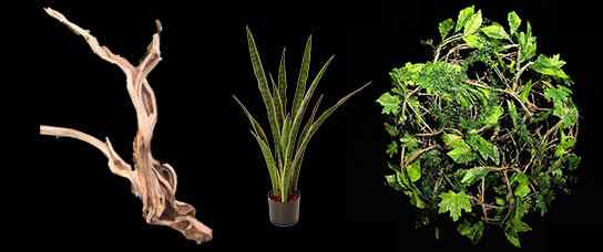 12Plantas_Artificiales.jpg
