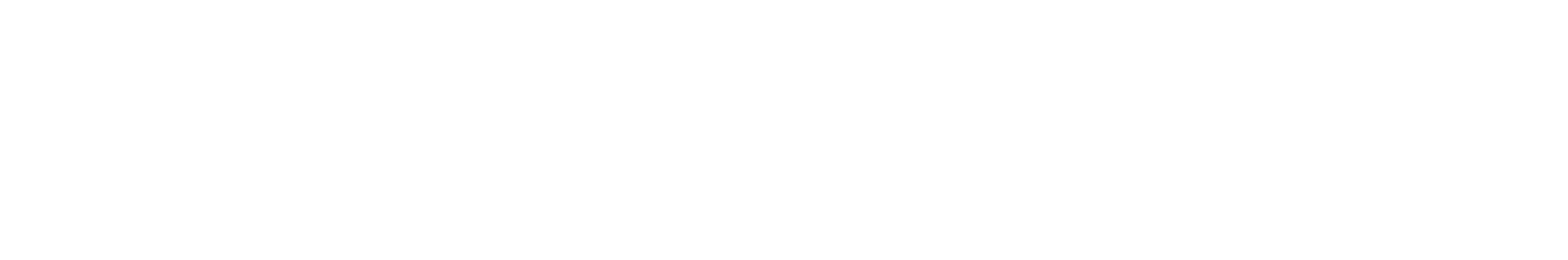 hometours logo vice tus sueños.png