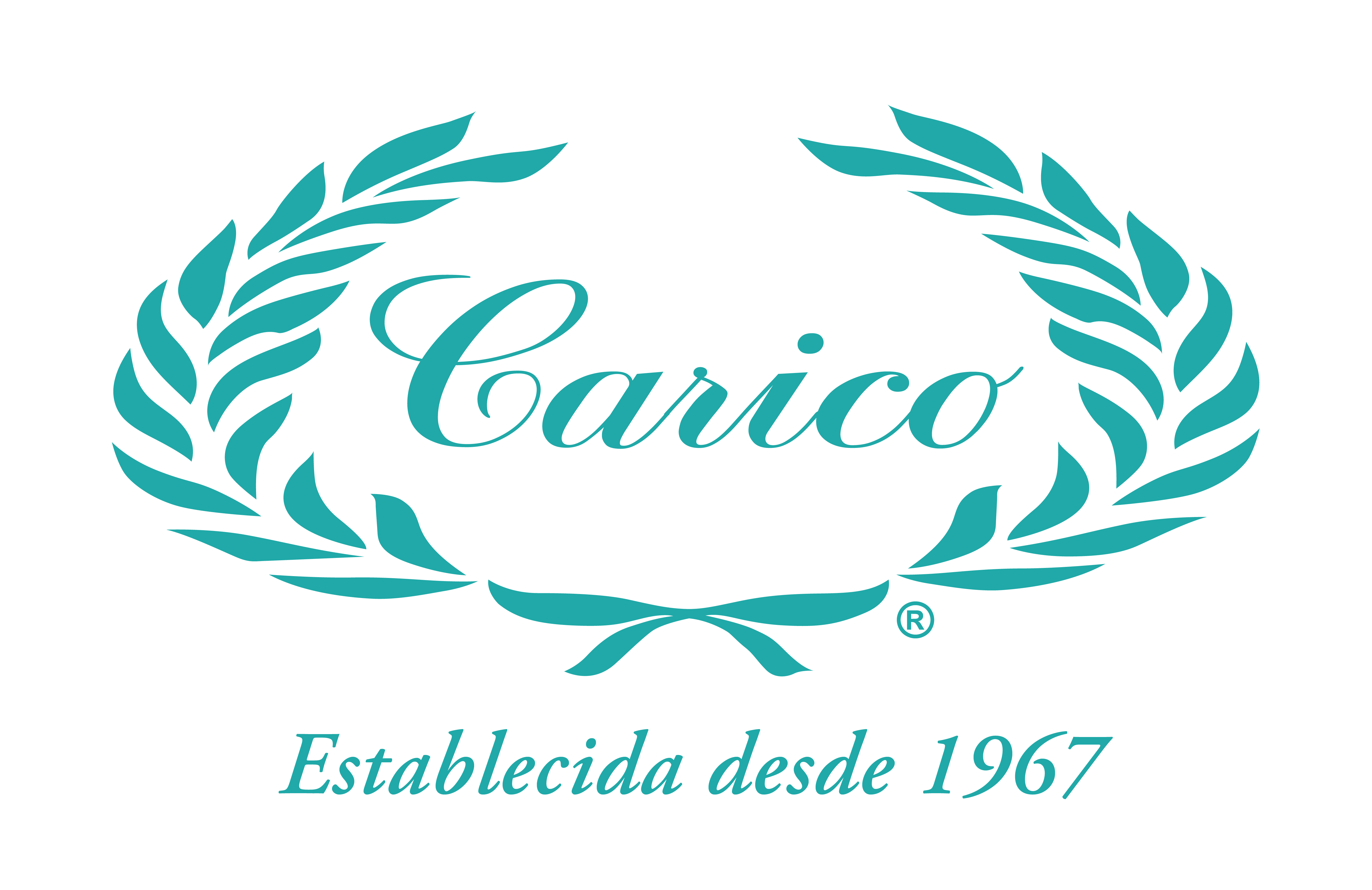 logo Carico Azul.png