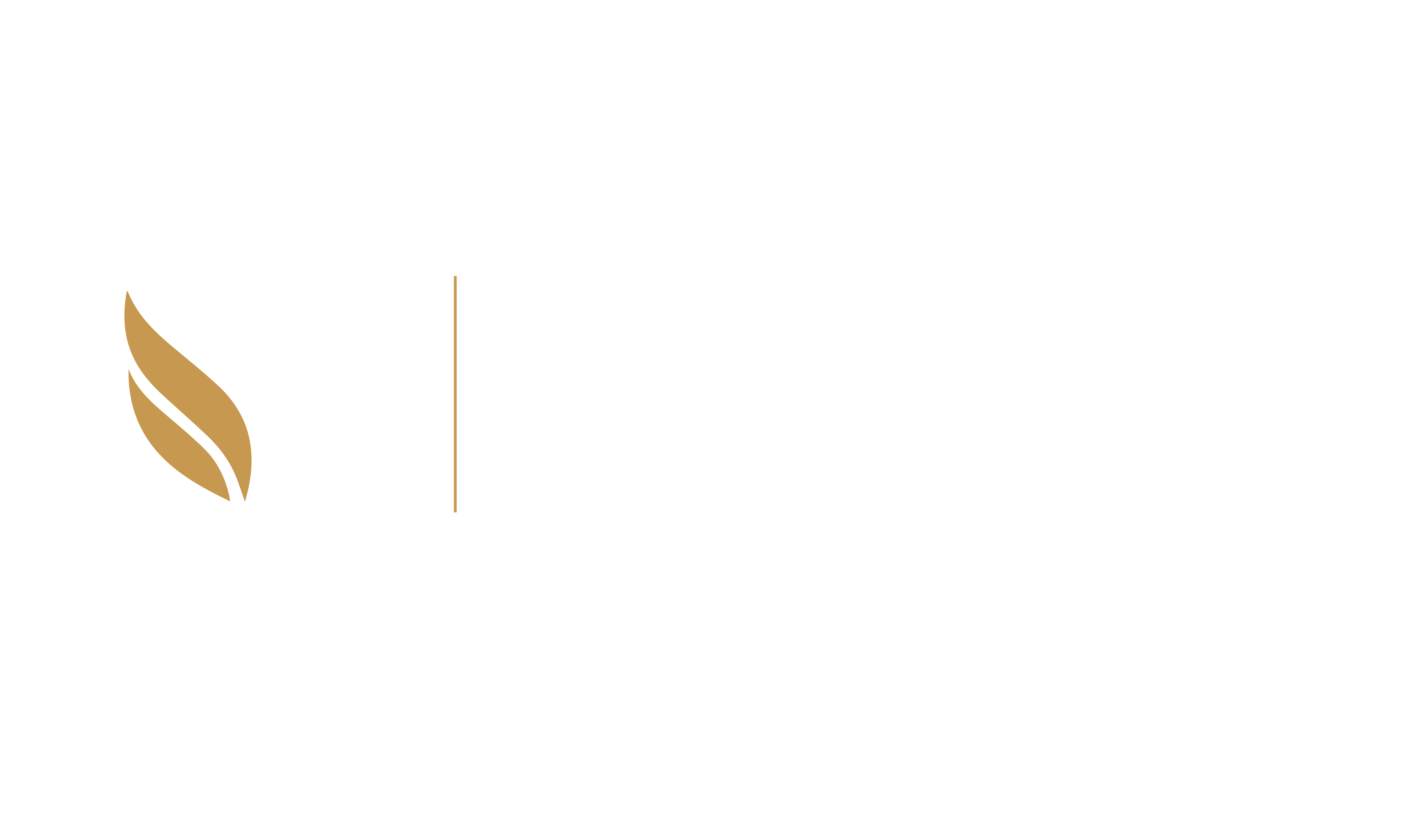 AV_LogoOficial_Blanco.png