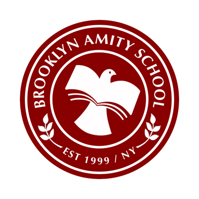 Brooklyn Amity  High School.png